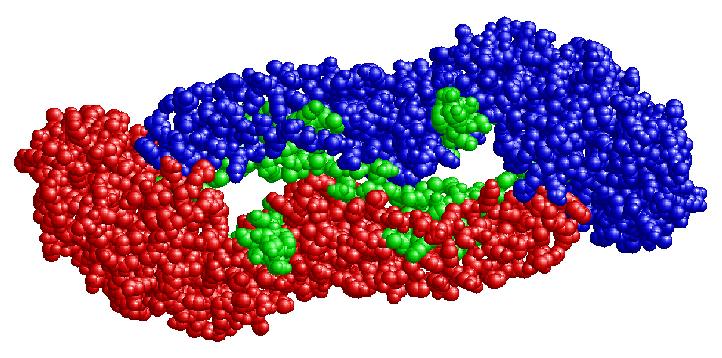 WNV, signature regions